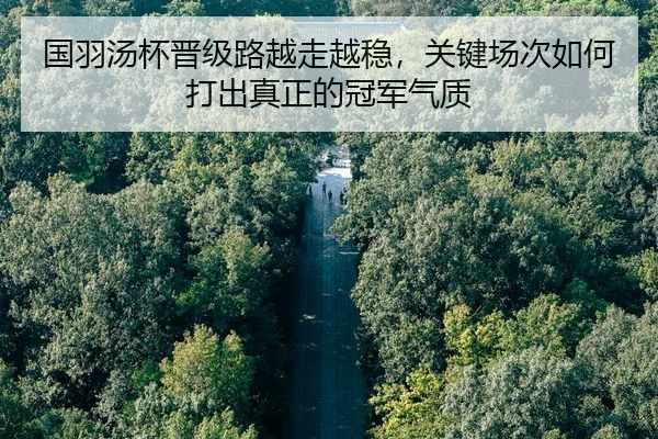 国羽汤杯晋级路越走越稳，关键场次如何打出真正的冠军气质