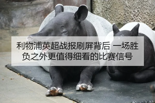 利物浦英超战报刷屏背后 一场胜负之外更值得细看的比赛信号