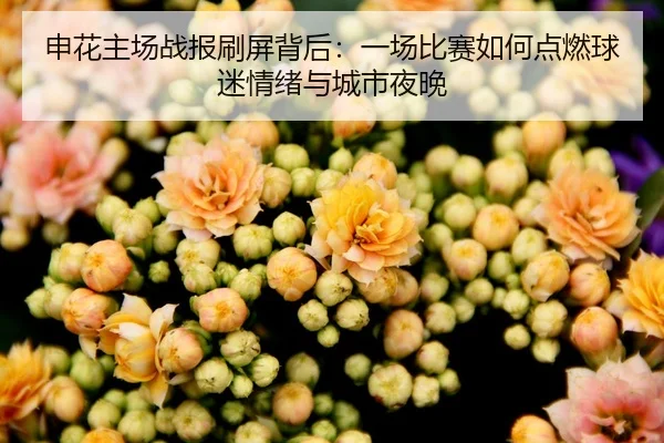 shen-hua-zhu-chang-zhan-bao-shua-ping-bei-hou-yi-chang-bi-sai-ru-he-dian-ran-qiu-mi-qing-xu-yu-cheng-shi-ye-wan-2-246.jpg