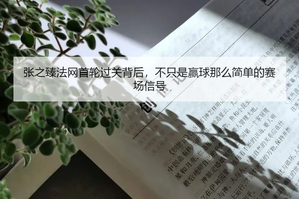 zhang-zhi-zhen-fa-wang-shou-lun-guo-guan-bei-hou-bu-zhi-shi-ying-qiu-na-me-jian-dan-de-sai-chang-xin-hao-3-836.jpg