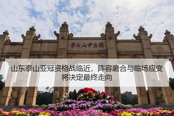 shan-dong-tai-shan-ya-guan-zi-ge-zhan-lin-jin-zhen-rong-mo-he-yu-lin-chang-ying-bian-jiang-jue-ding-zui-zhong-zou-xiang-2-935.jpg