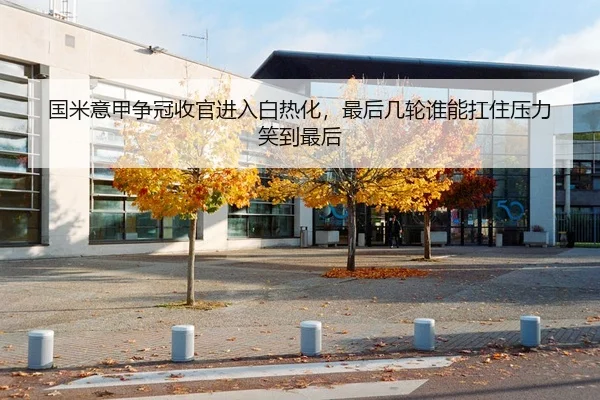 国米意甲争冠收官进入白热化，最后几轮谁能扛住压力笑到最后